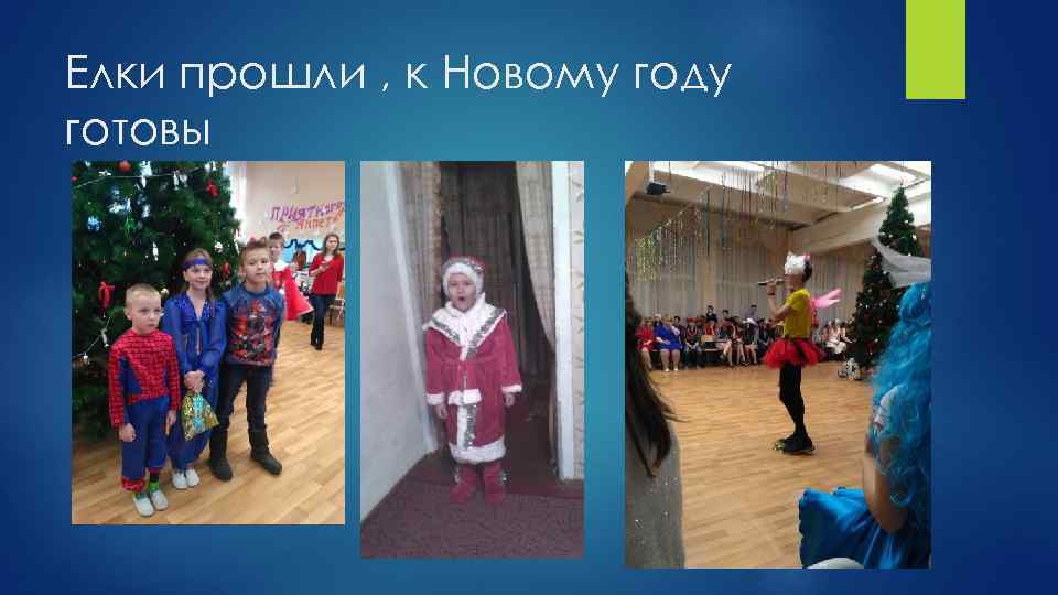 Елки прошли , к Новому году готовы 