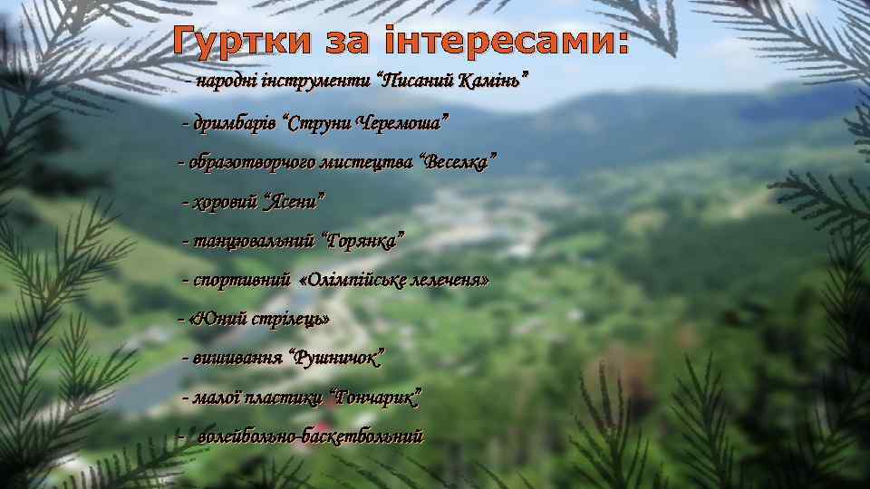 Гуртки за інтересами: - народні інструменти “Писаний Камінь” - дримбарів “Струни Черемоша” - образотворчого