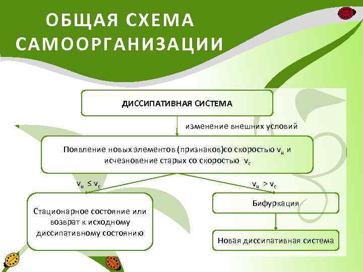 ОБЩАЯ СХЕМА САМООРГАНИЗАЦИИ ДИССИПАТИВНАЯ СИСТЕМА изменение внешних условий Появление новых элементов (признаков)со скоростью vн