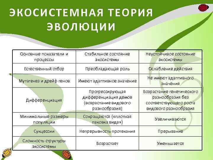 ЭКОСИСТЕМНАЯ ТЕОРИЯ ЭВОЛЮЦИИ Основные показатели и процессы Стабильное состояние экосистемы Неустойчивое состояние экосистемы Естественный