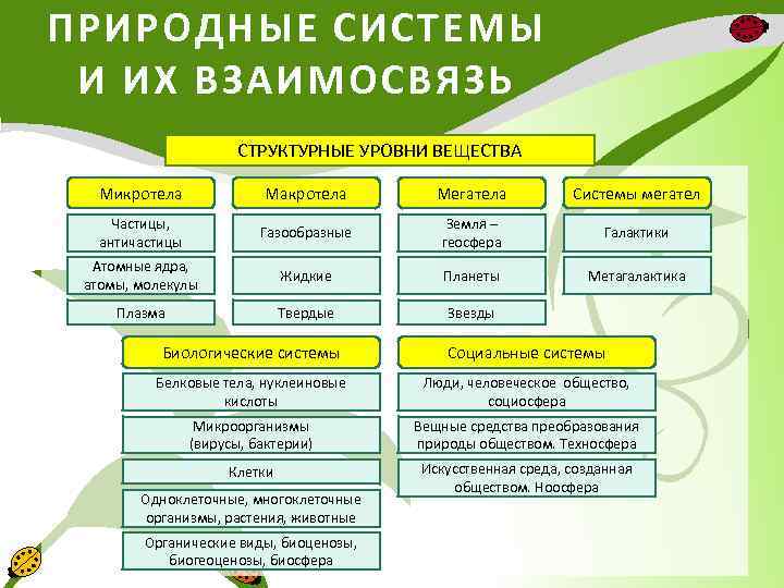 ПРИРОДНЫЕ СИСТЕМЫ И ИХ ВЗАИМОСВЯЗЬ СТРУКТУРНЫЕ УРОВНИ ВЕЩЕСТВА Микротела Макротела Мегатела Системы мегател Частицы,