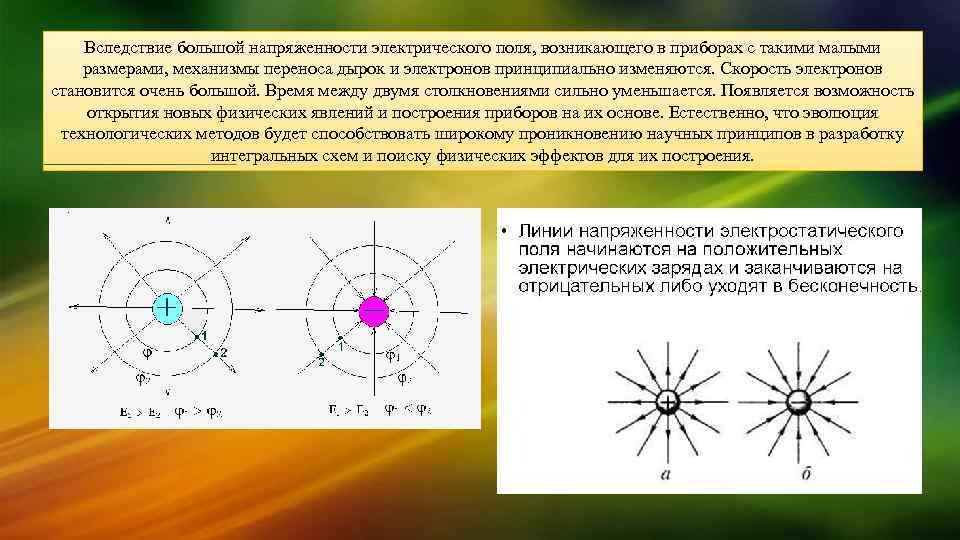 Определите направление линий напряженности электрического поля