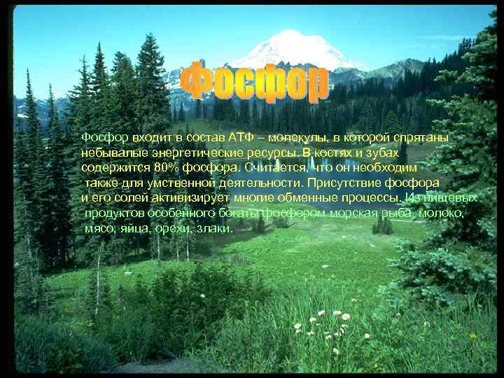 Фосфор входит в состав АТФ – молекулы, в которой спрятаны небывалые энергетические ресурсы. В