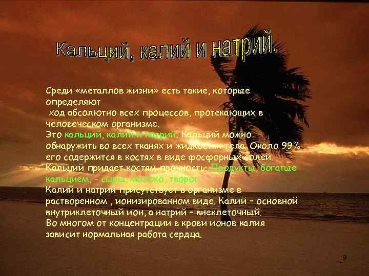 Среди «металлов жизни» есть такие, которые определяют ход абсолютно всех процессов, протекающих в человеческом