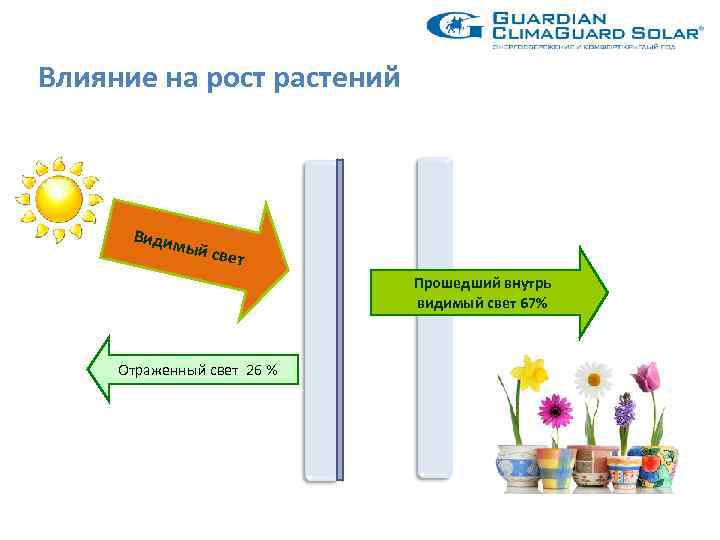 Влияние на рост растений Види мый с вет Прошедший внутрь видимый свет 67% Отраженный