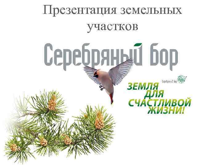 Презентация земельных участков 