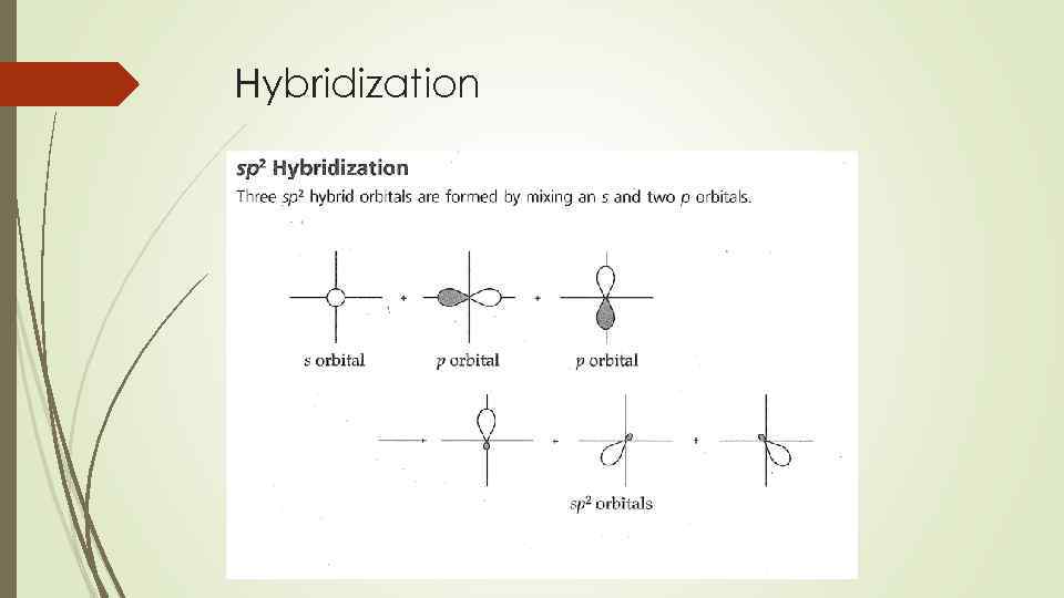 Hybridization 