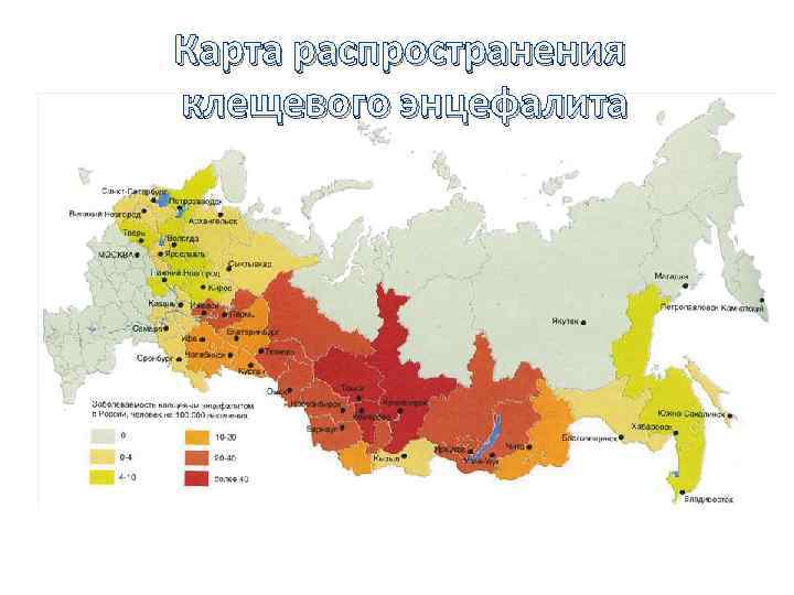 Карта распространения клещевого энцефалита 