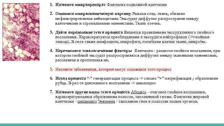 1. Назовите микропрепарат Флегмона подкожной клетчатки 2. Опишите микроскопическую картину Рыхлая соед. ткань, обильно