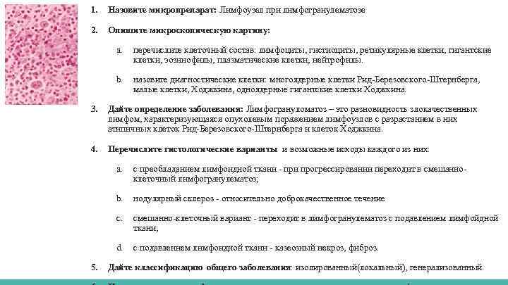 1. Назовите микропрепарат: Лимфоузел при лимфогранулематозе 2. Опишите микроскопическую картину: a. перечислите клеточный состав: