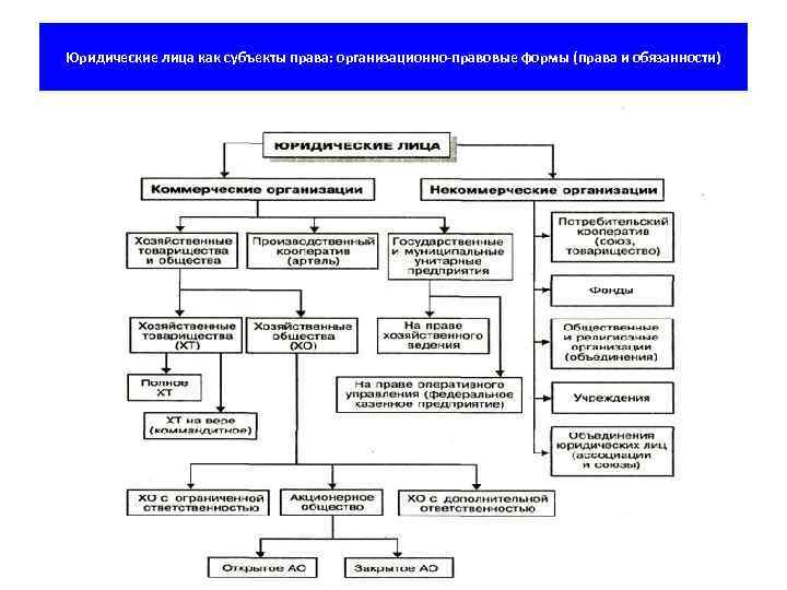 Юридические лица как субъекты права: организационно правовые формы (права и обязанности) 