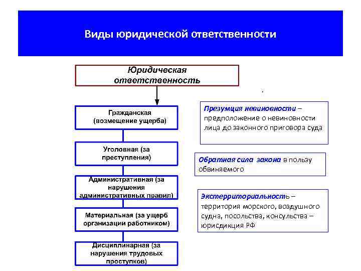 Разделы обществознания. Все разделы обществознания. Основные разделы обществознания. 5 Разделов обществознания.