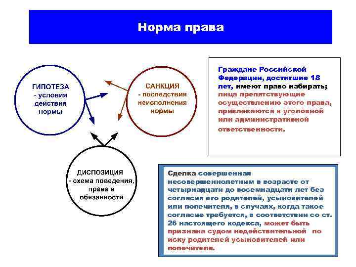 Норма права Граждане Российской Федерации, достигшие 18 лет, имеют право избирать; лица препятствующие осуществлению