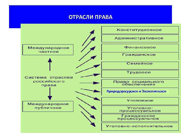 ОТРАСЛИ ПРАВА Природоресурсное и Экологическое 
