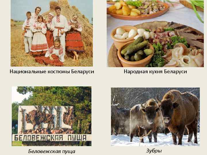 Национальные костюмы Беларуси Народная кухня Беларуси Беловежская пуща Зубры 