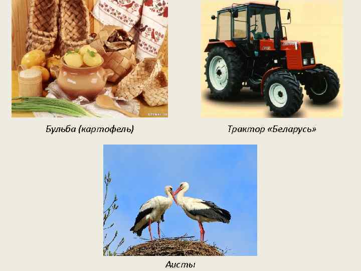 Бульба (картофель) Трактор «Беларусь» Аисты 