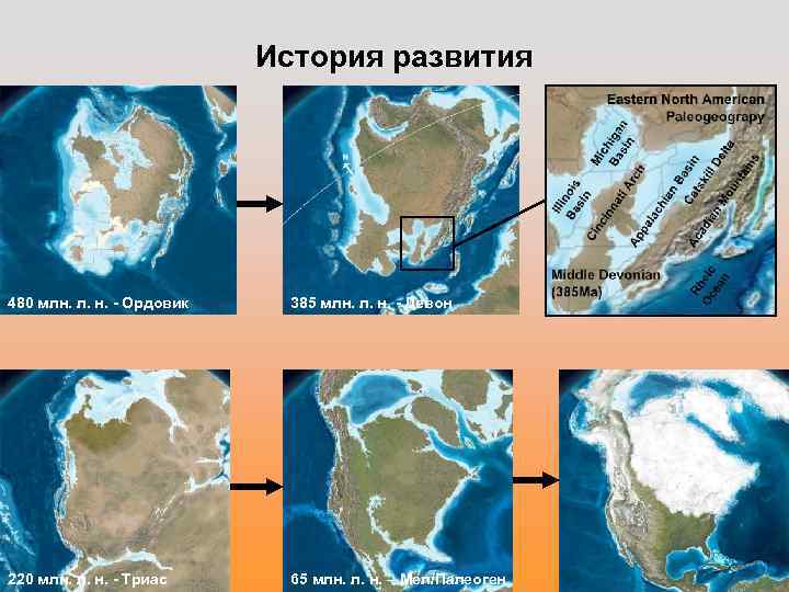 История развития 480 млн. л. н. - Ордовик 385 млн. л. н. - Девон