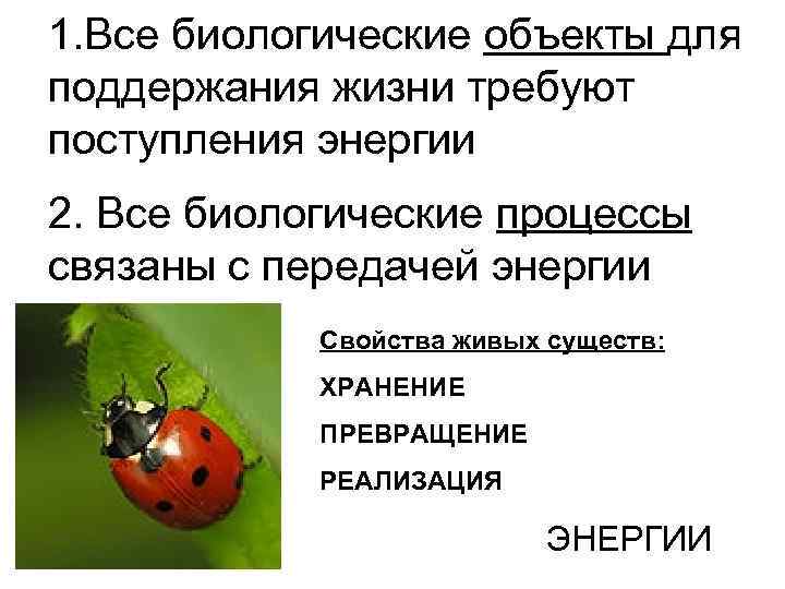 1. Все биологические объекты для поддержания жизни требуют поступления энергии 2. Все биологические процессы