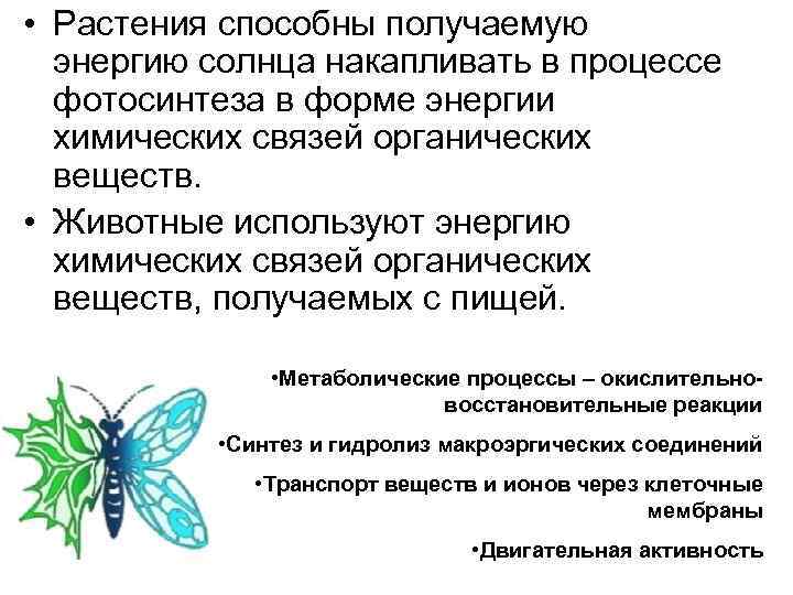  • Растения способны получаемую энергию солнца накапливать в процессе фотосинтеза в форме энергии