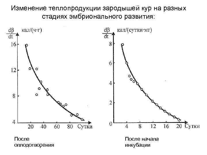 Изменение теплопродукции зародышей кур на разных стадиях эмбрионального развития: После оплодотворения После начала инкубации