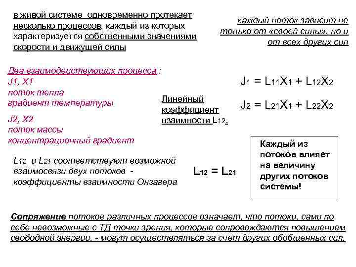 в живой системе одновременно протекает несколько процессов, каждый из которых характеризуется собственными значениями скорости