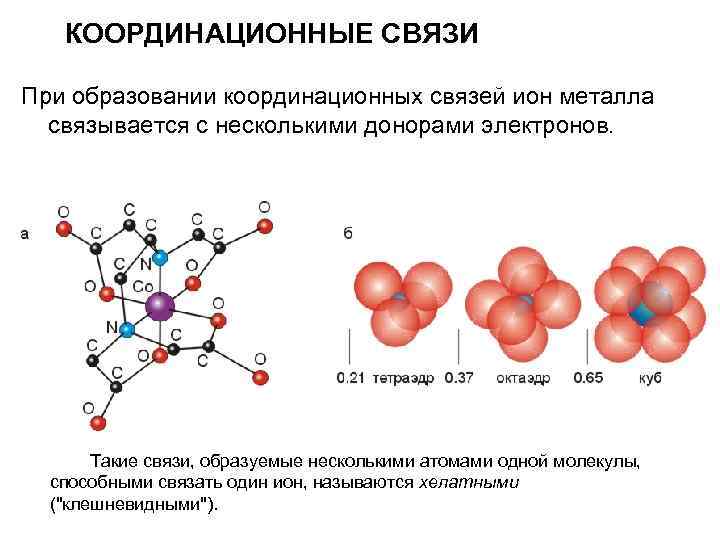 Ионные связи белка. Координационная связь. Координационная химическая связь. Координационные связи железа. Структура координационных соединений.