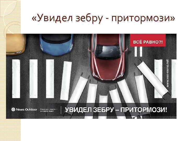  «Увидел зебру - притормози» 