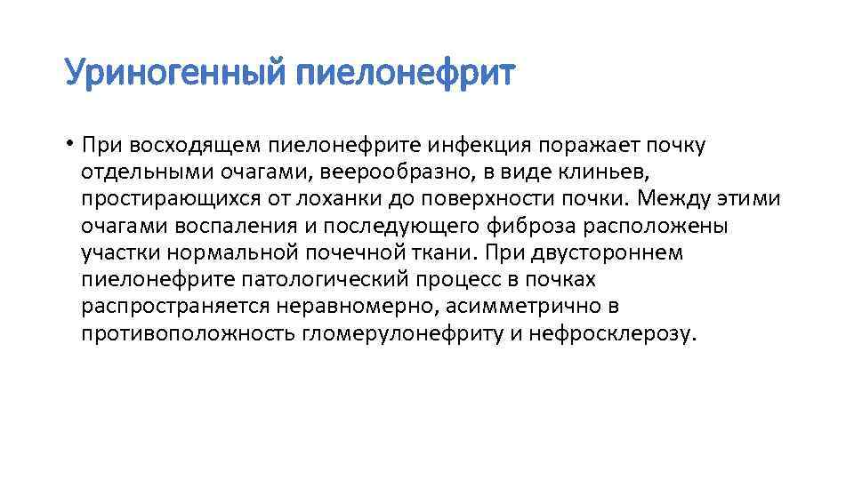 Уриногенный пиелонефрит • При восходящем пиелонефрите инфекция поражает почку отдельными очагами, веерообразно, в виде