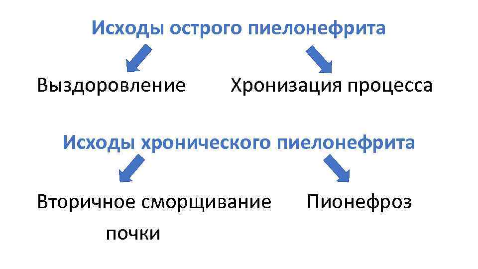 Исходы острого пиелонефрита Выздоровление Хронизация процесса Исходы хронического пиелонефрита Вторичное сморщивание Пионефроз почки 