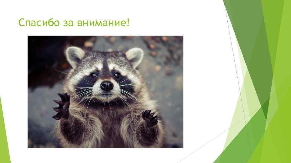 Спасибо за внимание! 