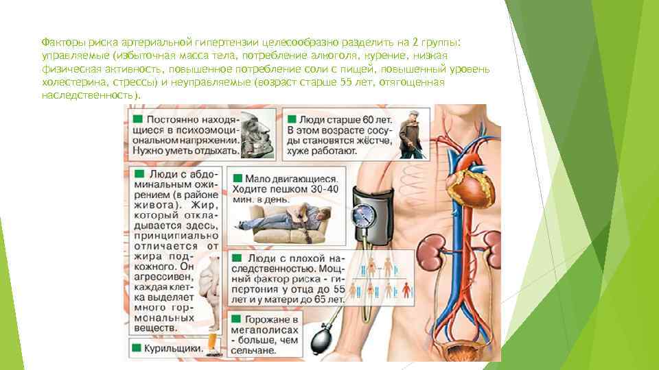 Факторы риска артериальной гипертензии целесообразно разделить на 2 группы: управляемые (избыточная масса тела, потребление