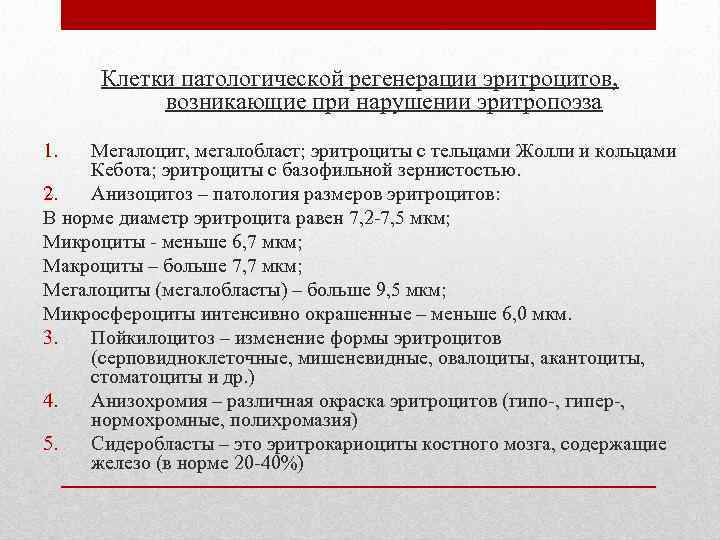 Клетки патологической регенерации эритроцитов, возникающие при нарушении эритропоэза 1. Мегалоцит, мегалобласт; эритроциты с тельцами