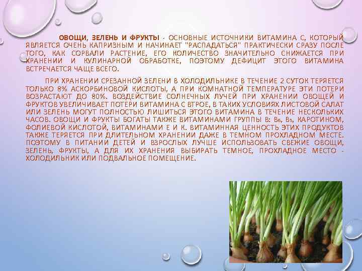 ОВОЩИ, ЗЕЛЕНЬ И ФРУКТЫ - ОСНОВНЫЕ ИСТОЧНИКИ ВИТАМИНА С, КОТОРЫЙ ЯВЛЯЕТСЯ ОЧЕНЬ КАПРИЗНЫМ И