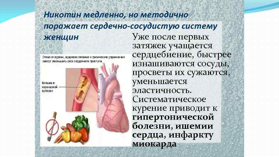 Никотин медленно, но методично поражает сердечно-сосудистую систему Уже после первых женщин затяжек учащается сердцебиение,