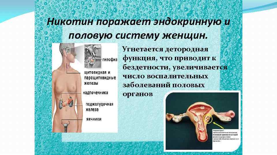 Никотин поражает эндокринную и половую систему женщин. Угнетается детородная функция, что приводит к бездетности,