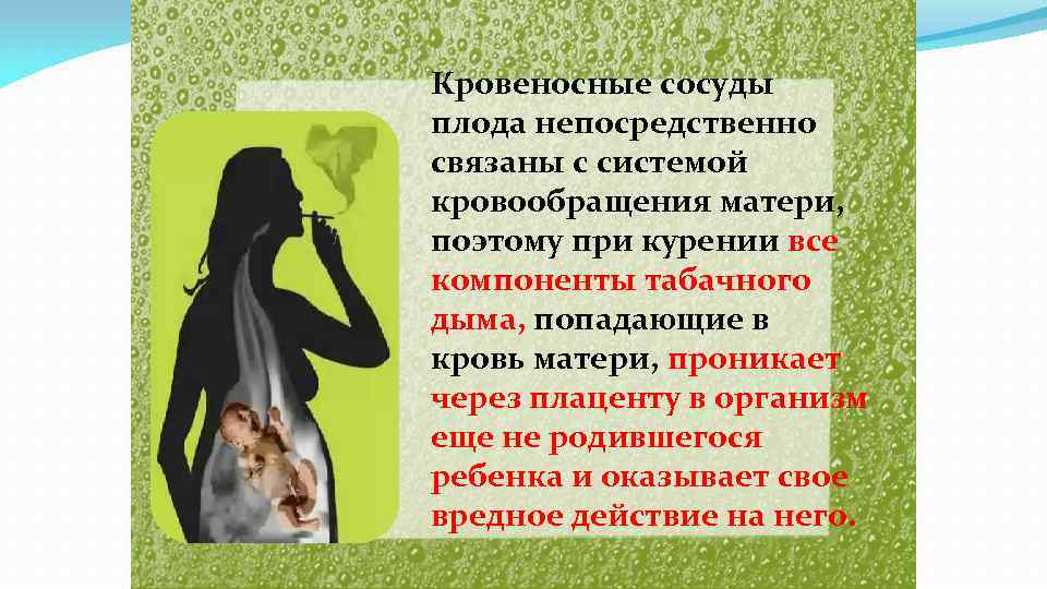 Кровеносные сосуды плода непосредственно связаны с системой кровообращения матери, поэтому при курении все компоненты