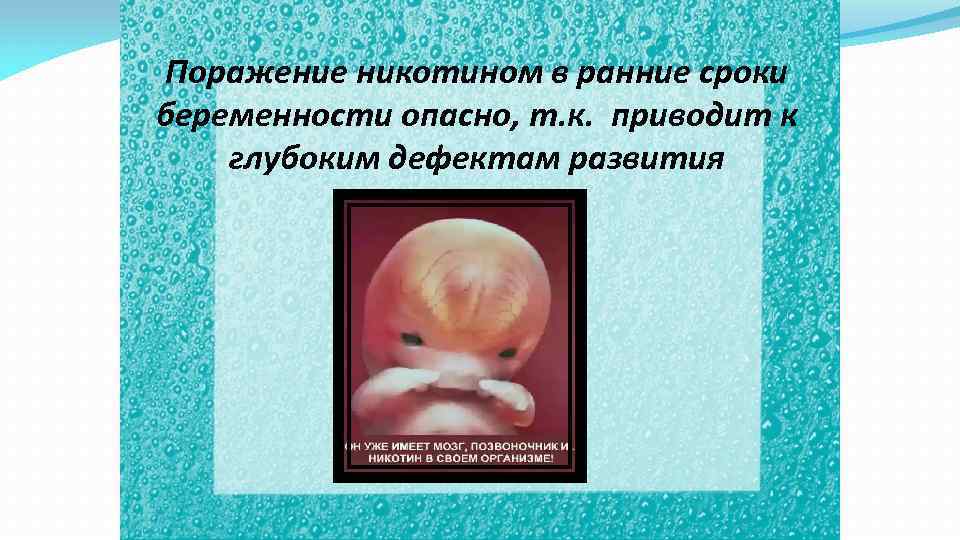 Поражение никотином в ранние сроки беременности опасно, т. к. приводит к глубоким дефектам развития