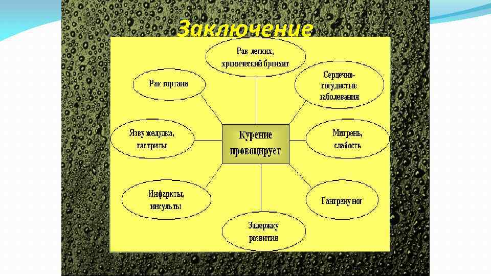 Заключение 