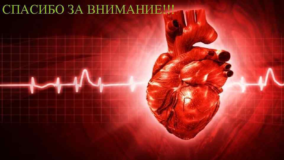 СПАСИБО ЗА ВНИМАНИЕ!!! 