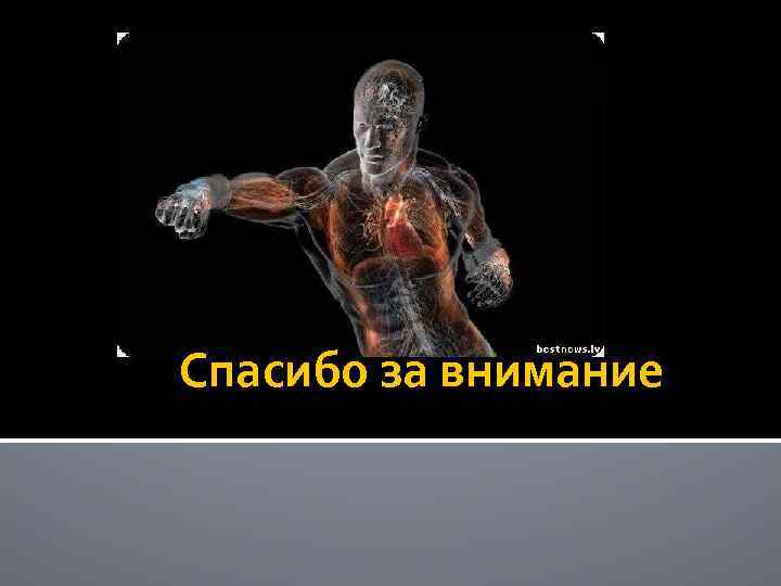 Спасибо за внимание 