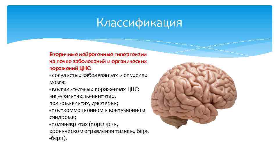 Органическое поражение цнс. Нейрогенная гипертензия классификация. Классификация органических заболеваний ЦНС.