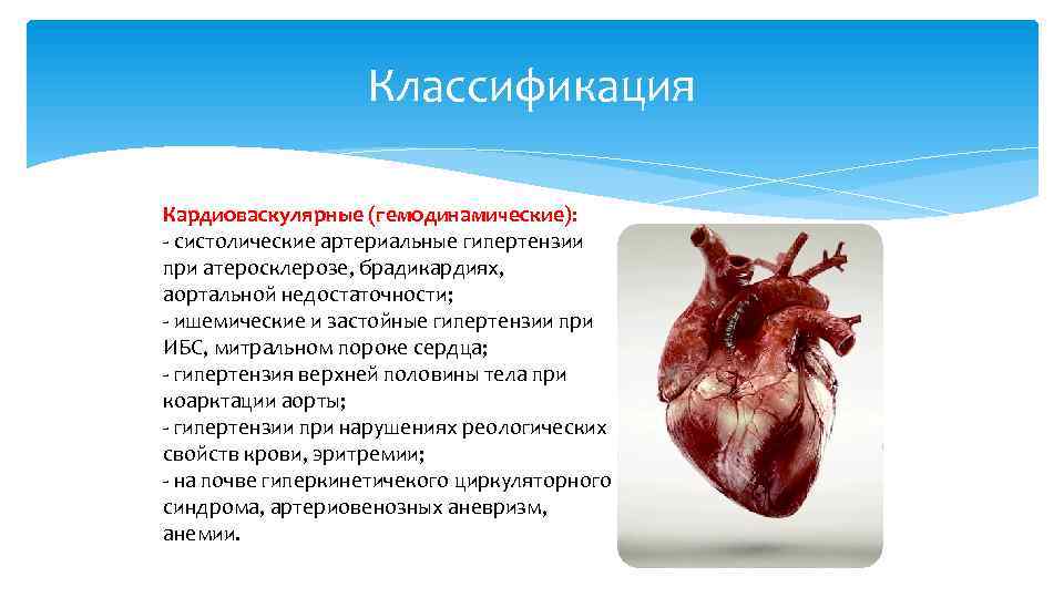 Классификация Кардиоваскулярные (гемодинамические): - систолические артериальные гипертензии при атеросклерозе, брадикардиях, аортальной недостаточности; - ишемические