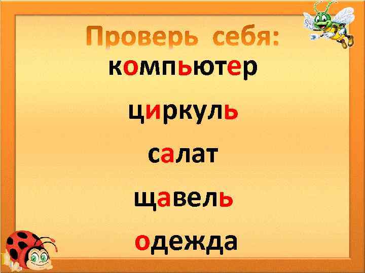 компьютер циркуль салат щавель одежда 