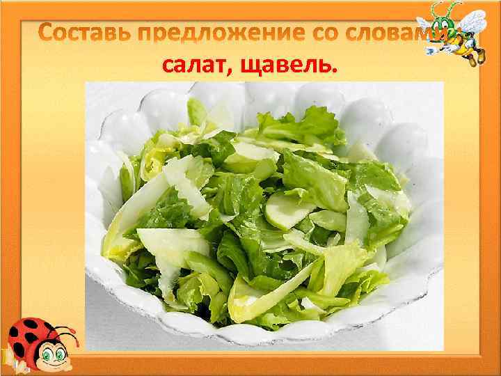 салат, щавель. 