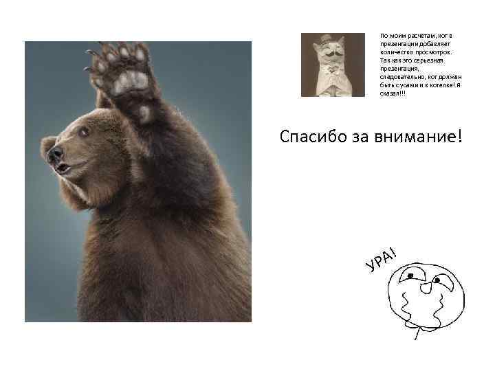 По моим расчетам, кот в презентации добавляет количество просмотров. Так как это серьезная презентация,