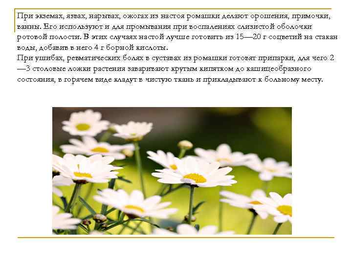 При экземах, язвах, нарывах, ожогах из настоя ромашки делают орошения, примочки, ванны. Его используют