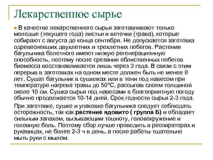 Лекарственное сырье В качестве лекарственного сырья заготавливают только молодые (текущего года) листья и веточки
