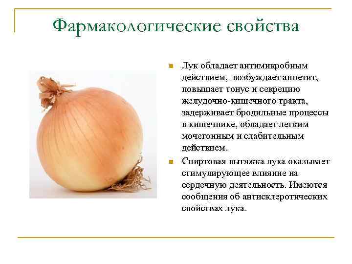 Фармакологические свойства n n Лук обладает антимикробным действием, возбуждает аппетит, повышает тонус и секрецию