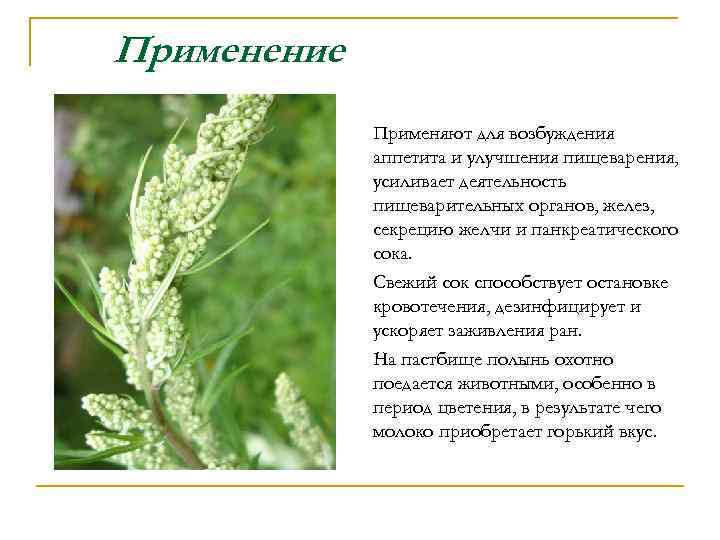 Применение Применяют для возбуждения аппетита и улучшения пищеварения, усиливает деятельность пищеварительных органов, желез, секрецию