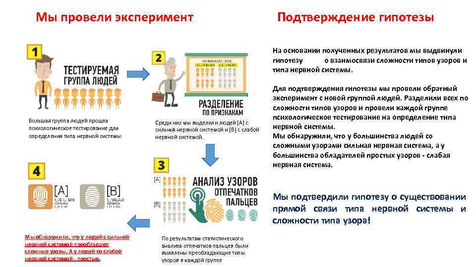 Мы провели эксперимент Подтверждение гипотезы На основании полученных результатов мы выдвинули гипотезу о взаимосвязи